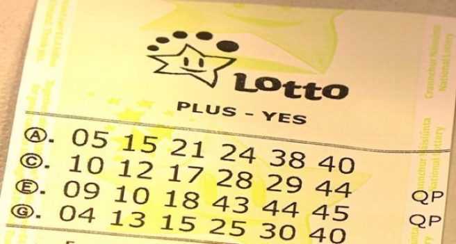 the lotto ticket check