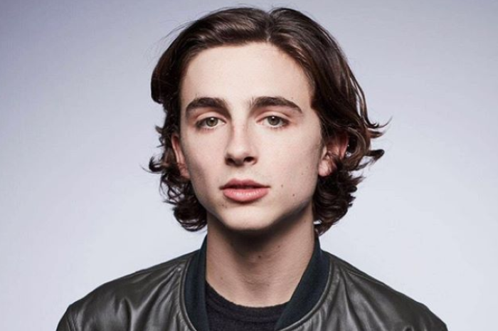 [Download 37+] Timothee Chalamet Png Full Body