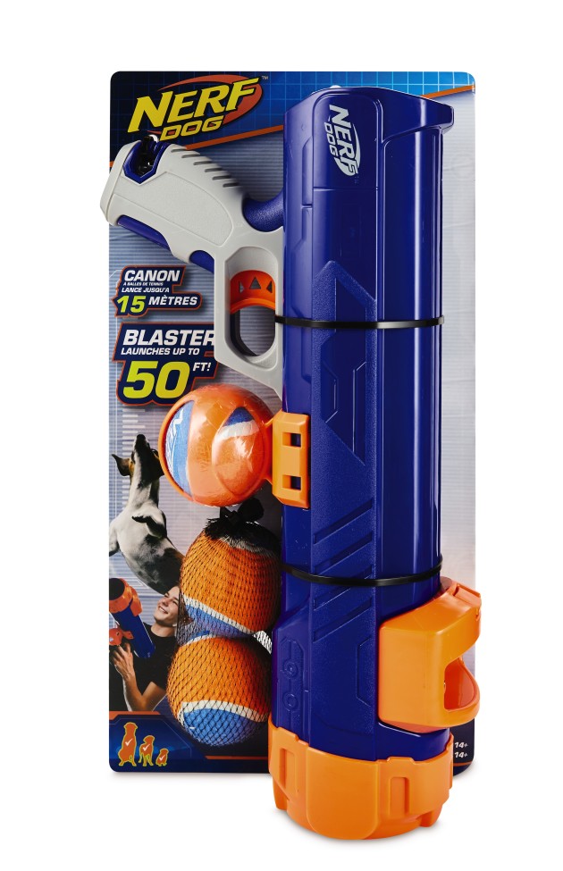 aldi nerf dog